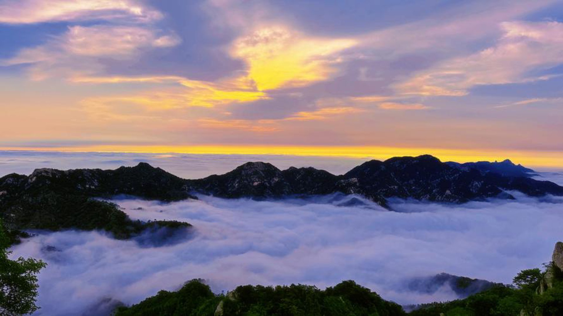 沂蒙山特产